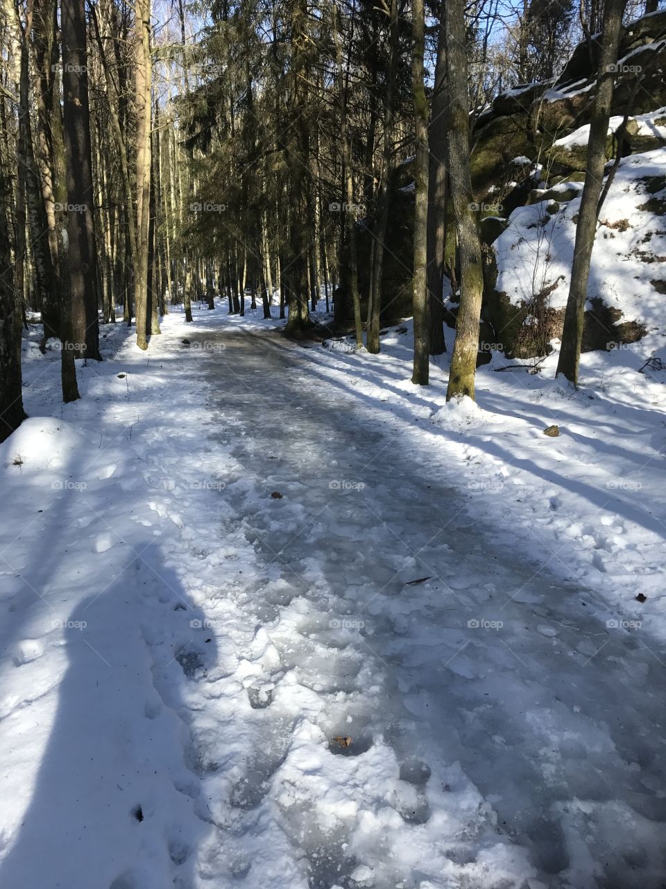 Hiking track during winter in Gothenburg, Sweden. Taken during daytime and the shadow of me is in the left corner. Trees and snow. 