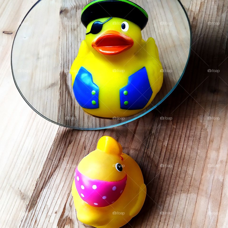 Duckling looks in the mirror