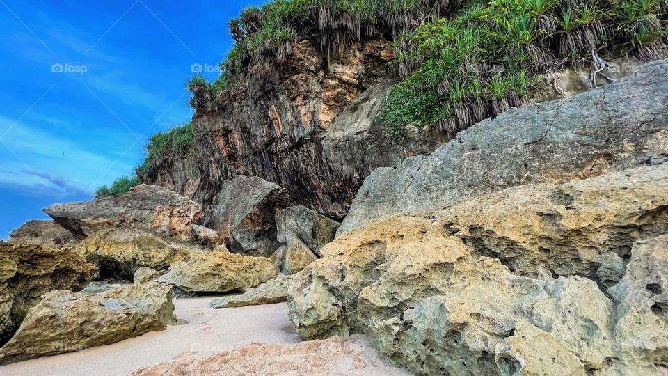 Portrait of rocky cliffs and green plants on the beach with blue sky