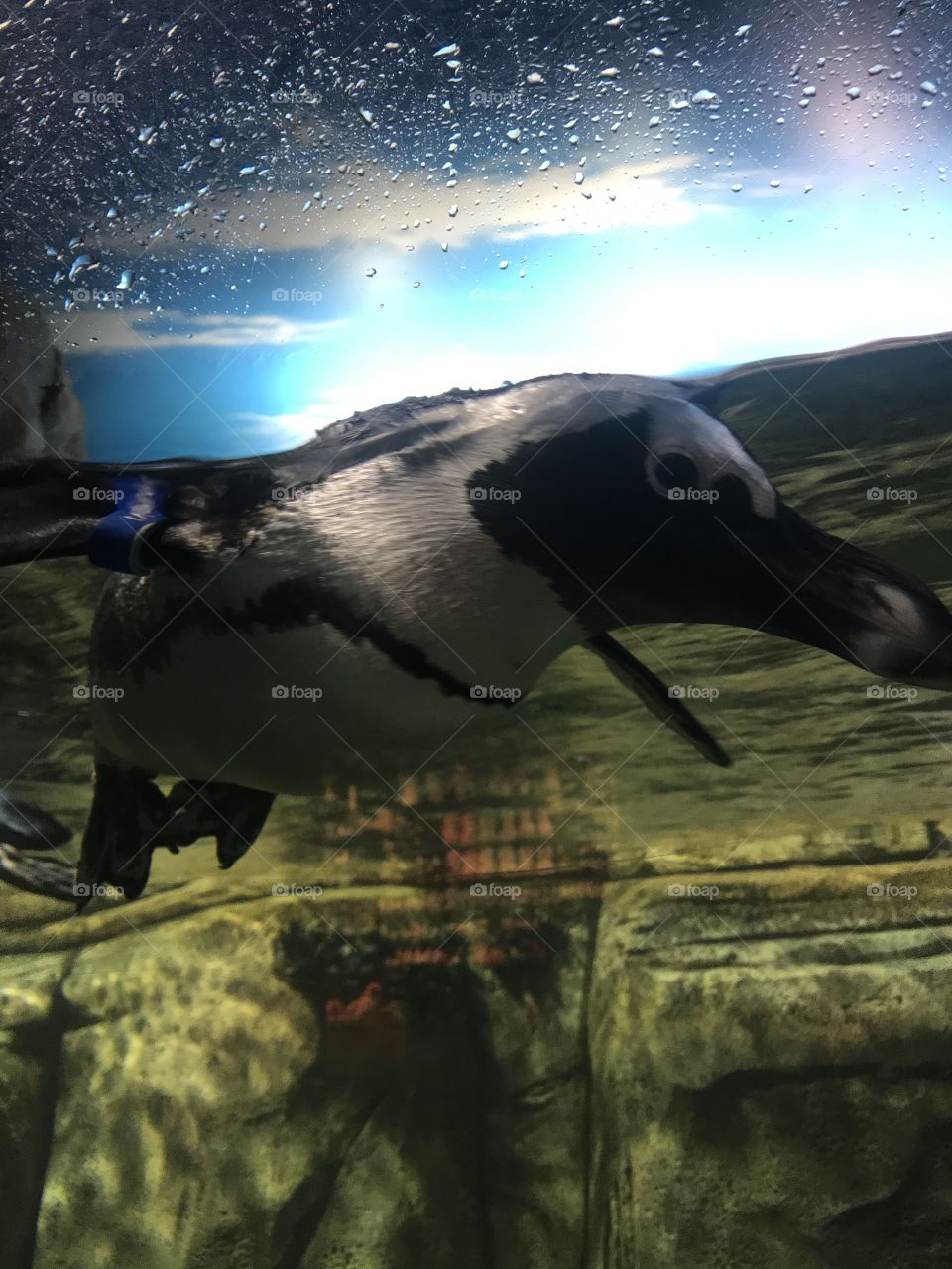 You thought that rock looked like a face too? 