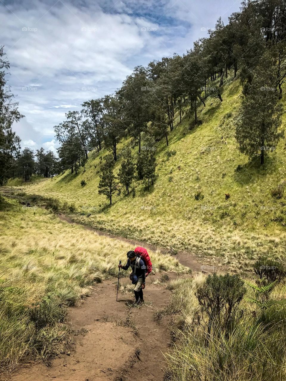 Climb Mount Lawu, a beautiful mountain that is always associated with mystical stories in every place.