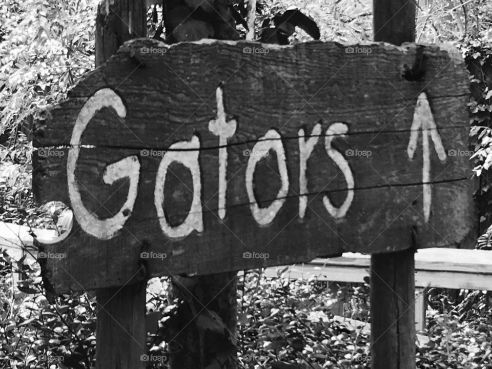 Gator sign