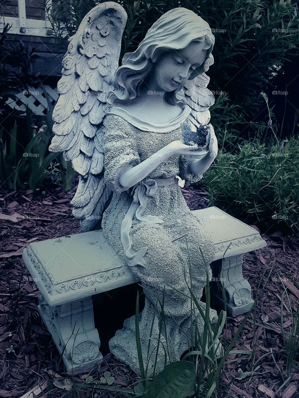 Awake And Dreaming 💭