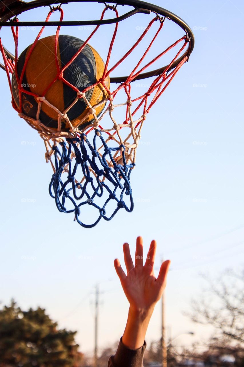 Basketball net