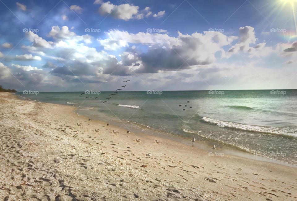 Gorgeous, sunny day on a deserted beach.