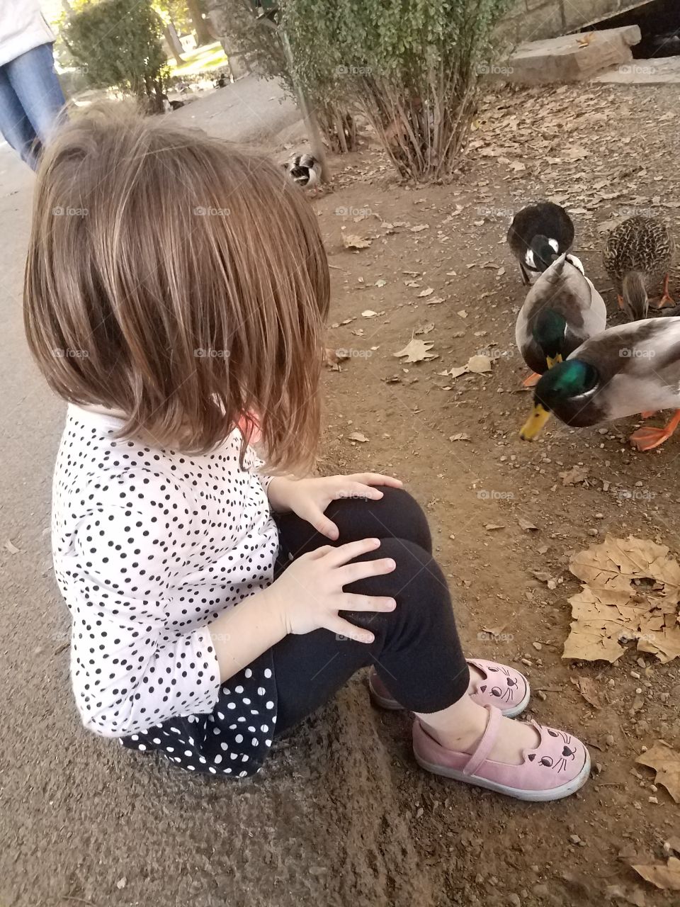 Josie is a little bit afraid of the ducks she's feeding