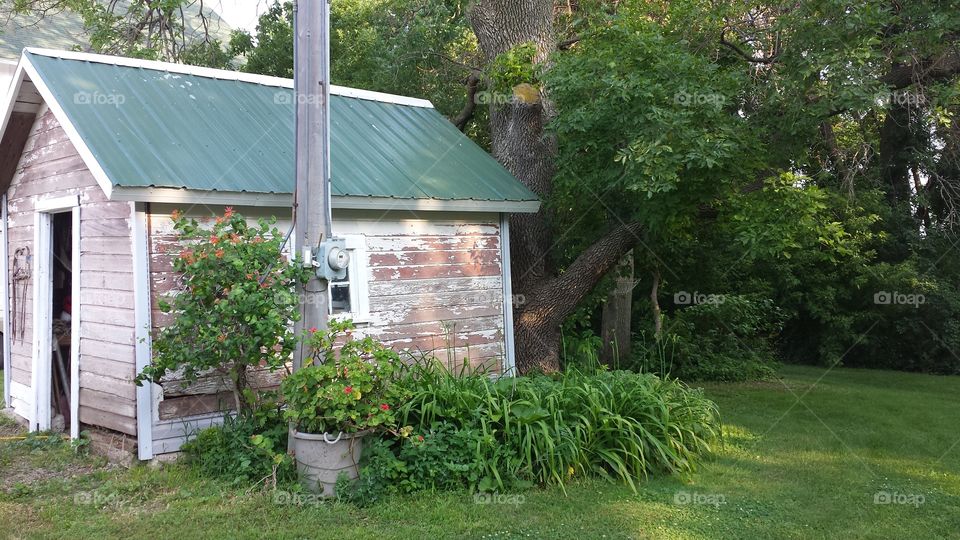 Farm Building. The old milk storage building at the family farm