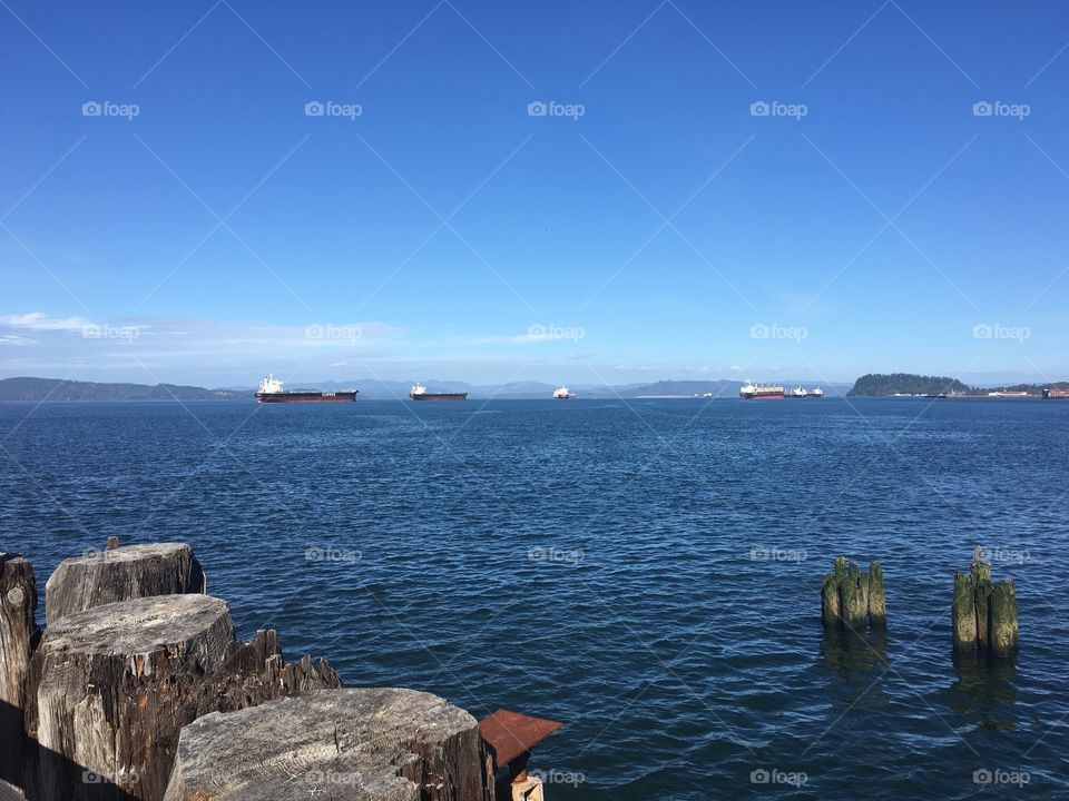 On the banks of the mighty Columbia looking at the ocean liner's bringing in freight. October 2016.