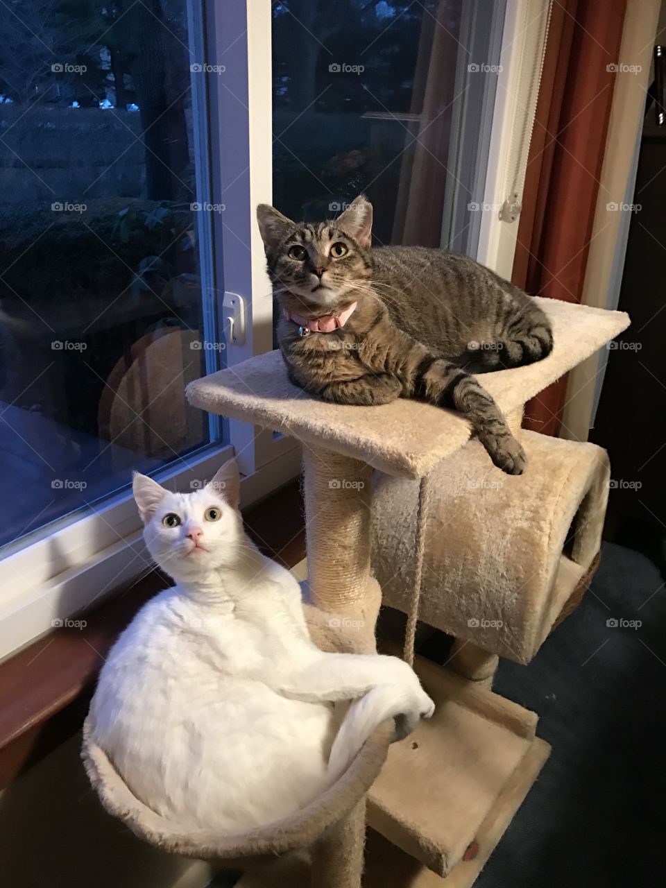 Smile for the Camera