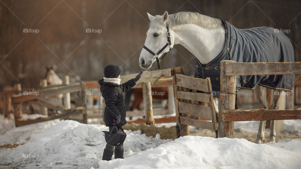 Little girl with horse on paddock 