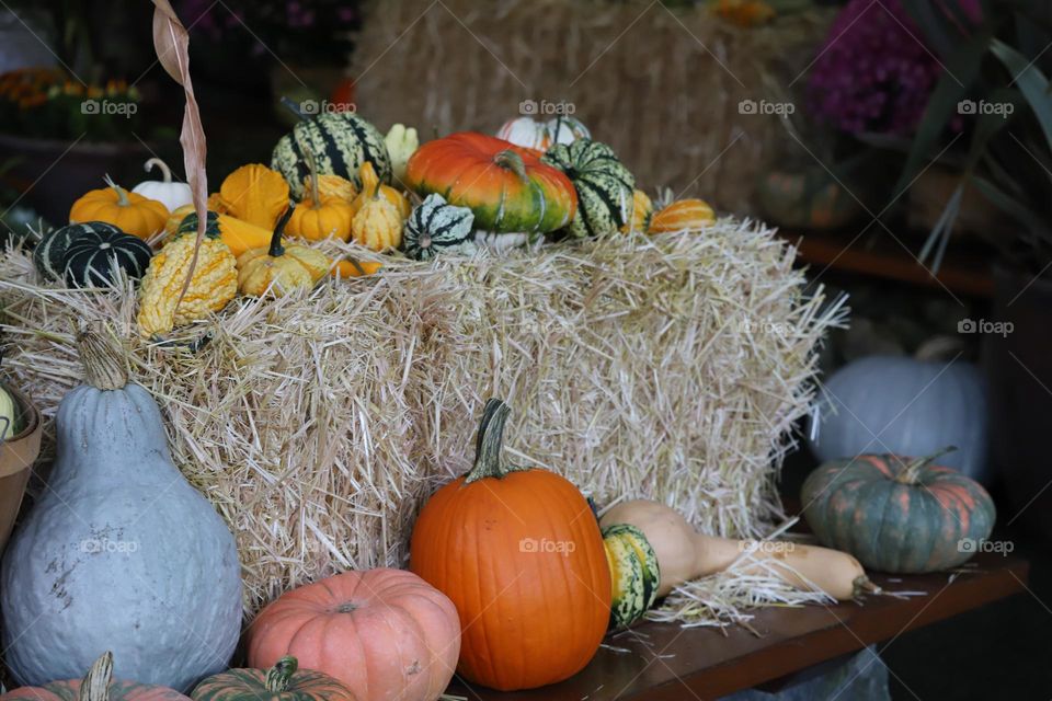 Decorative pumpkin 