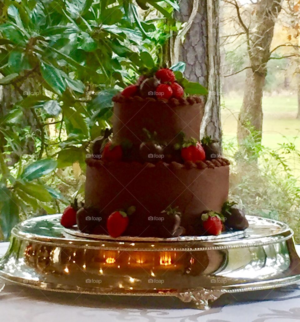 Chocolate groom's cake with raspberry filling.