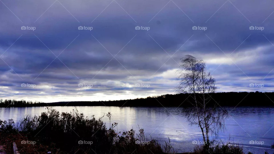 nature