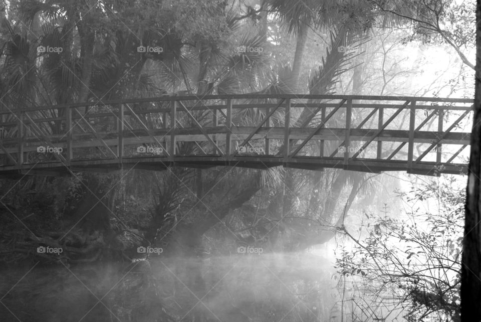eerie black and white image of a walking bridge in the woods over still water with fog