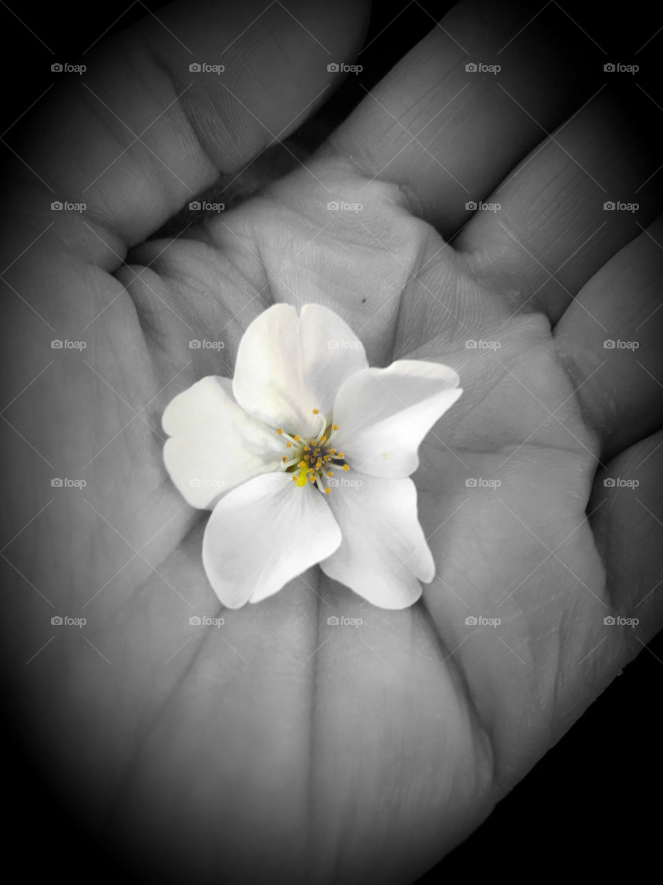 Spring is closed to hand 