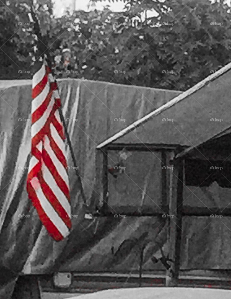 Flag in trailer park