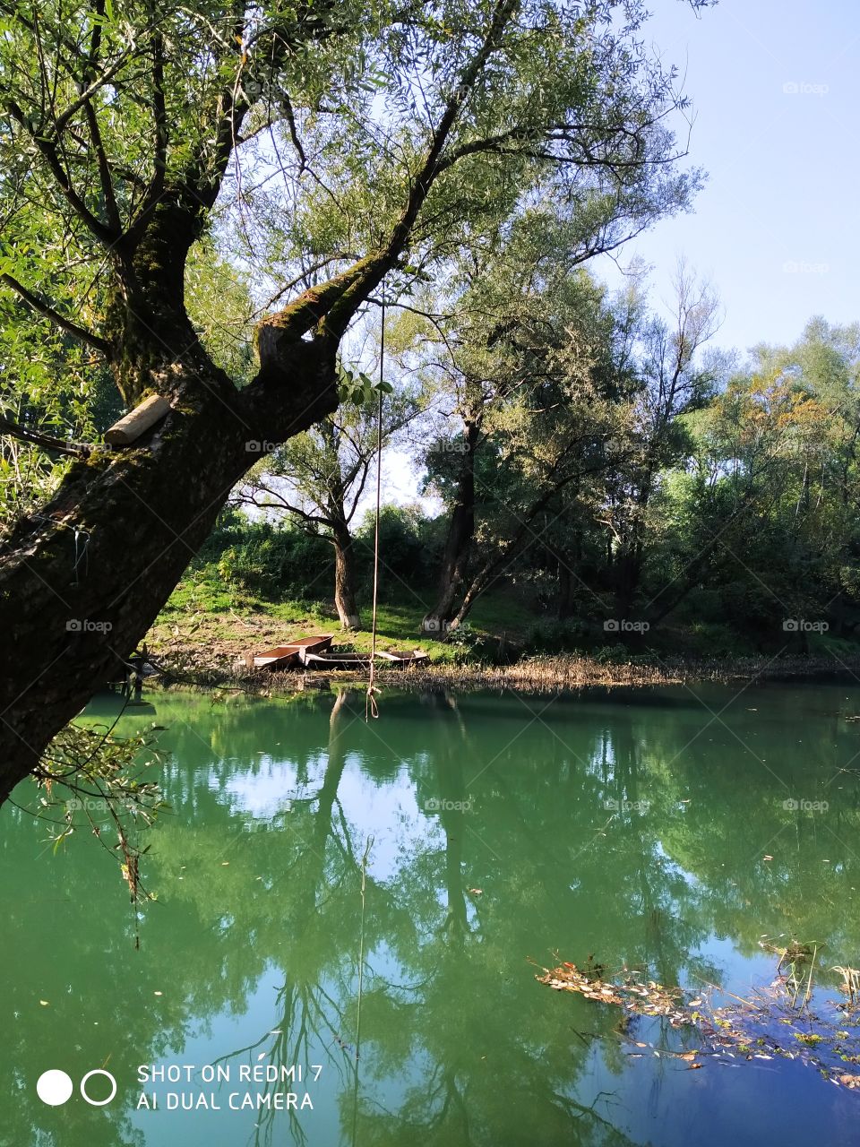 skakaonica u prirodi