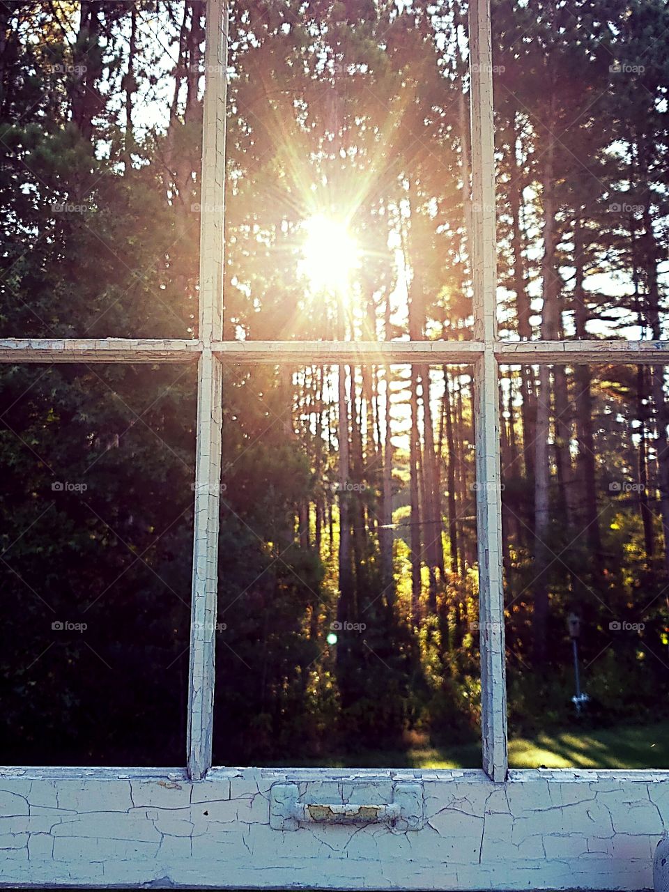 window pane in front of morning sunshine