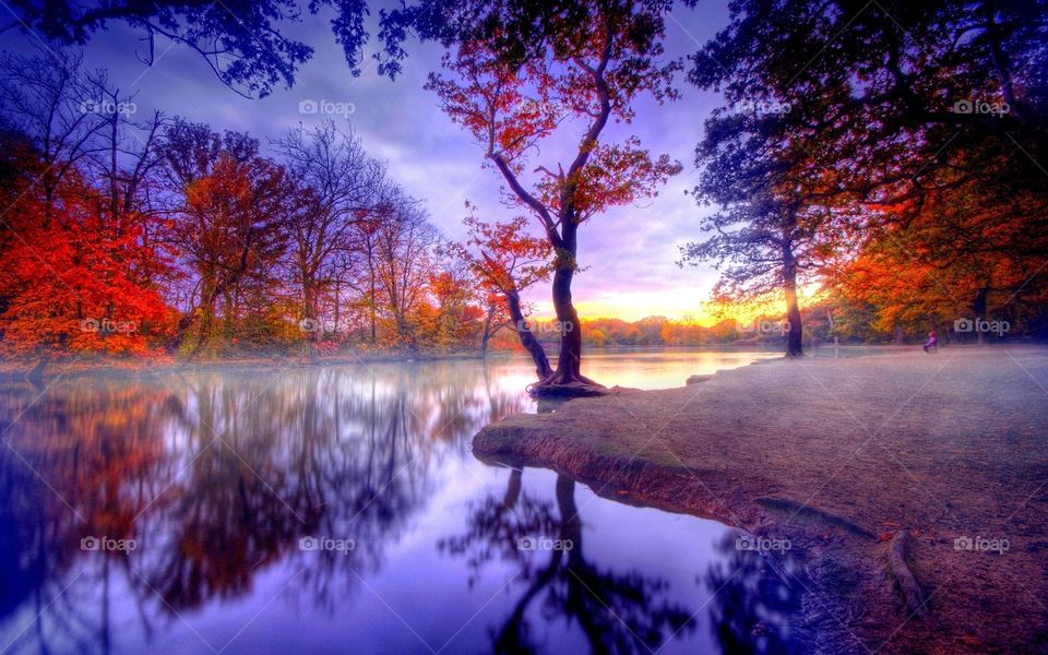 This is my photo and i have the right to sell it
I world like submit location data