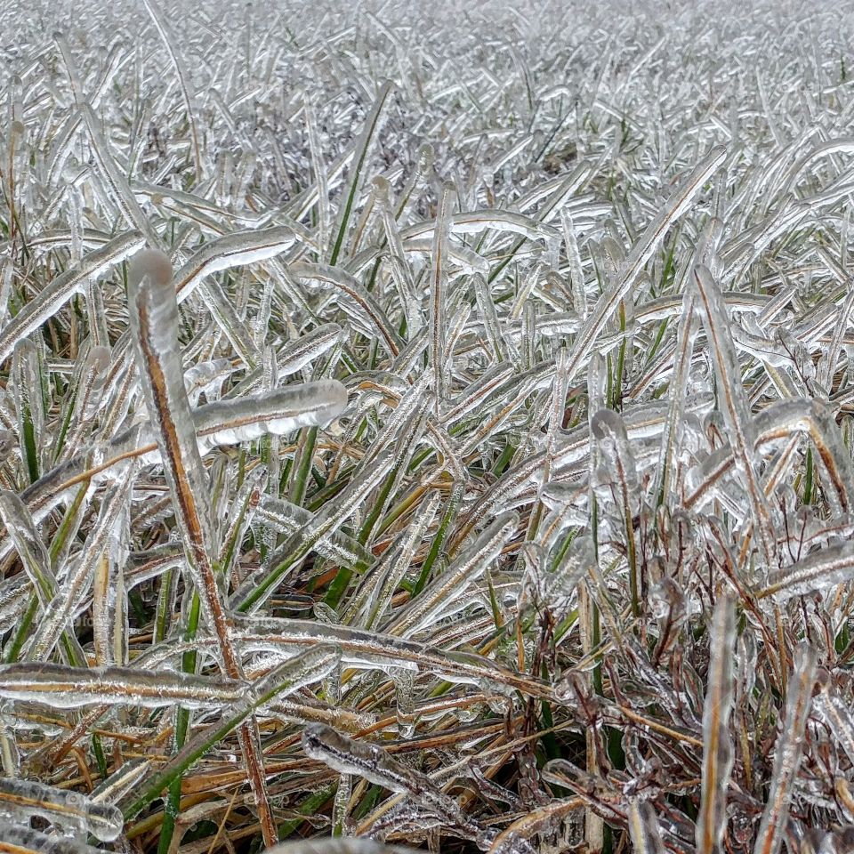 Jan 2015: A winter storm brought 3/4 inch of Ice from freezing rain in Farmington Missouri.