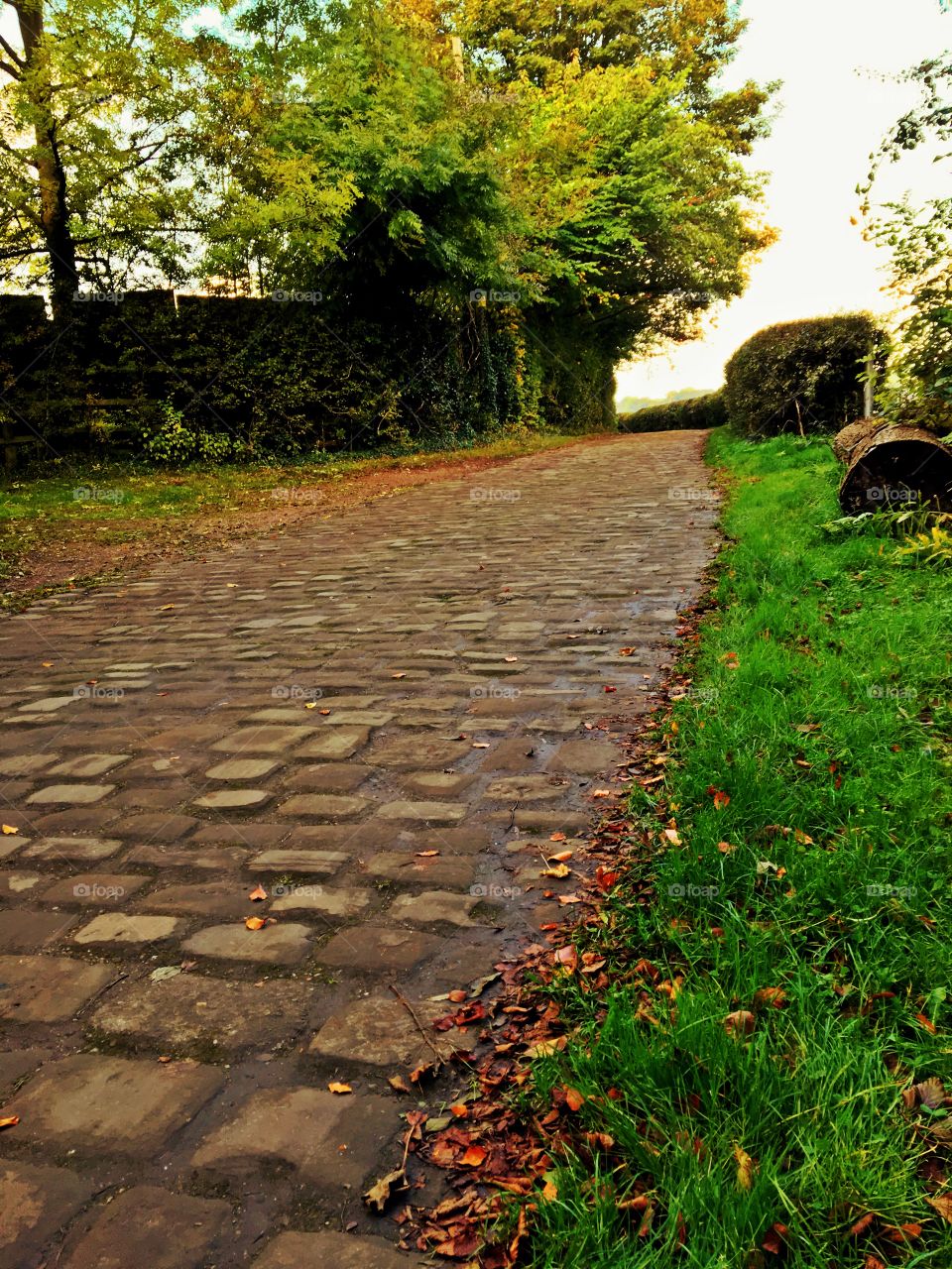Old cobblestoned road