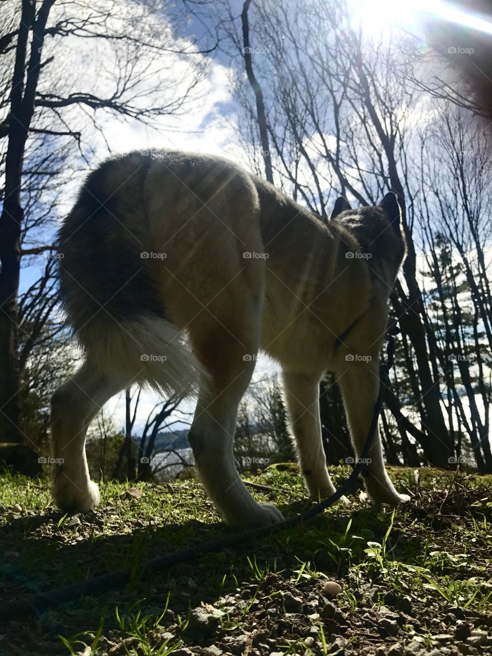 On the lookout for the next adventure 