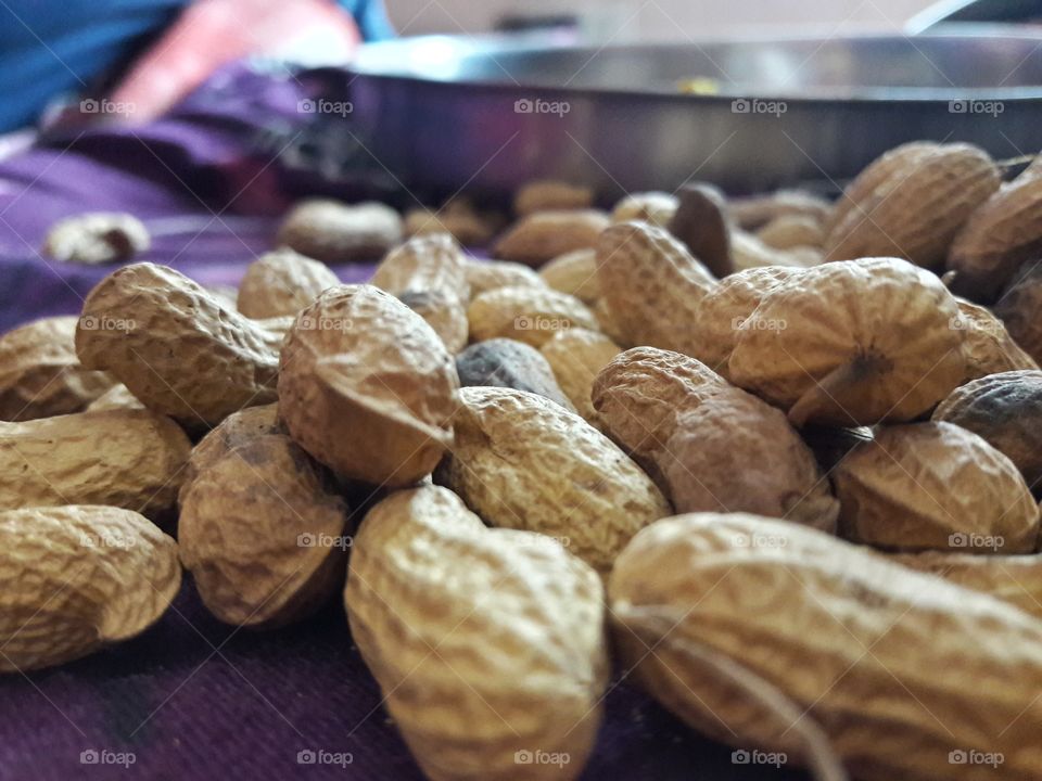 groundnut season in India
