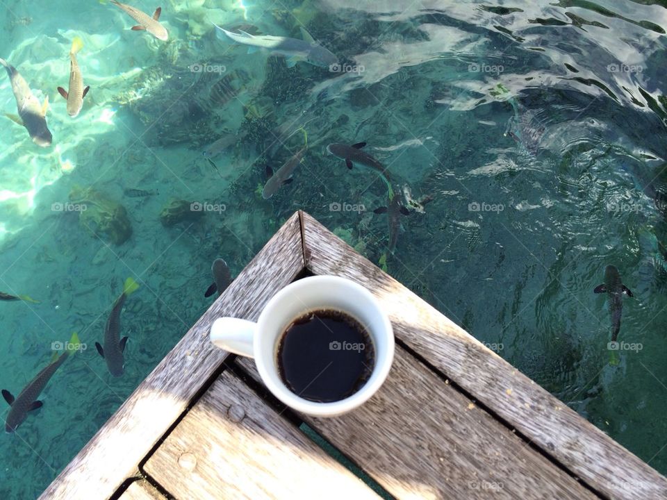Coffe with the Fishes