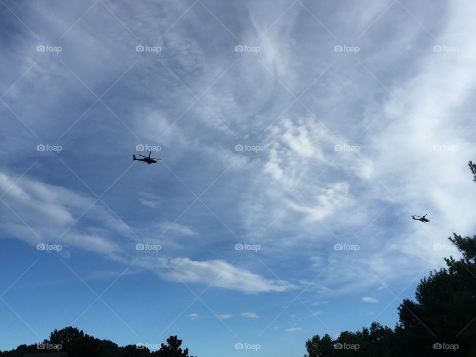 Army Helicopters 
