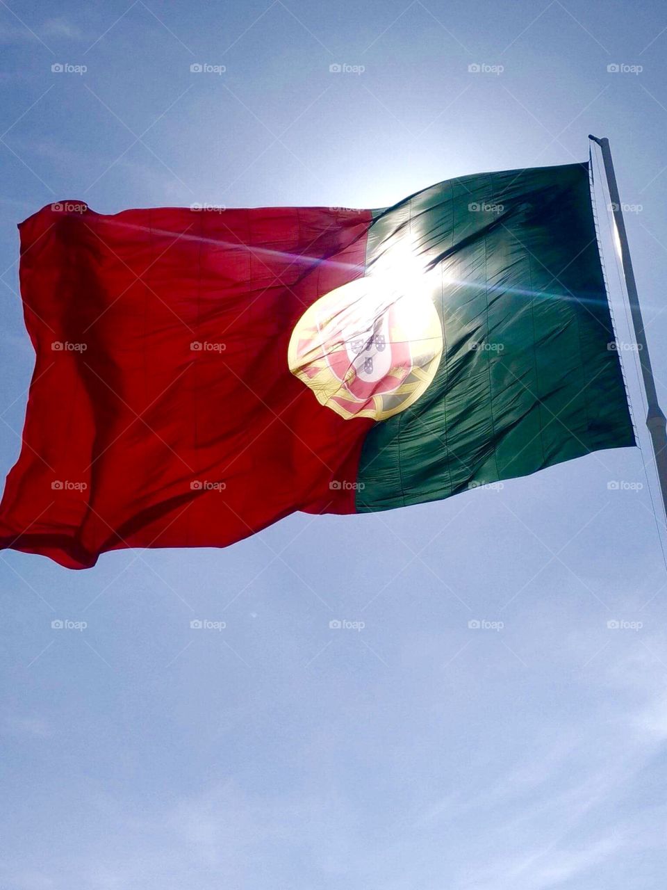 Country Flag Portugal 