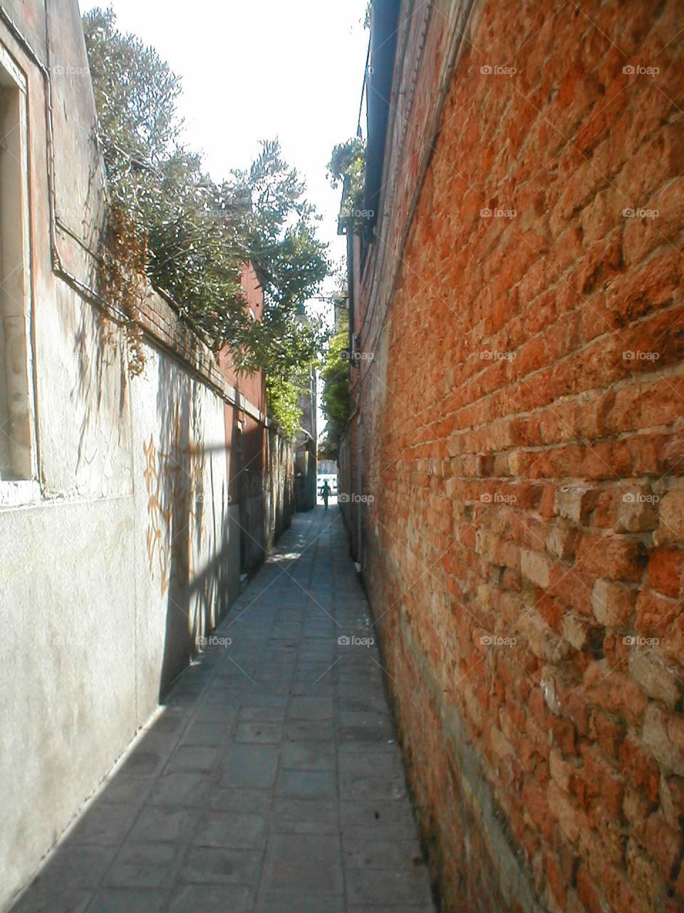 Perspective . Venice 