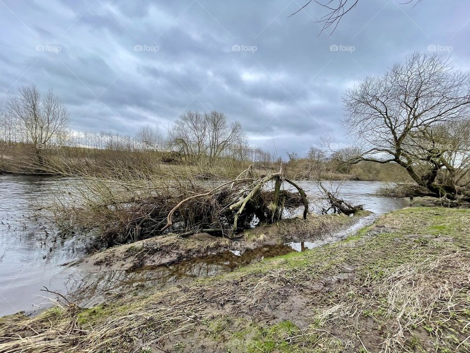 River Flood damage … trees felled … everything flattened … 