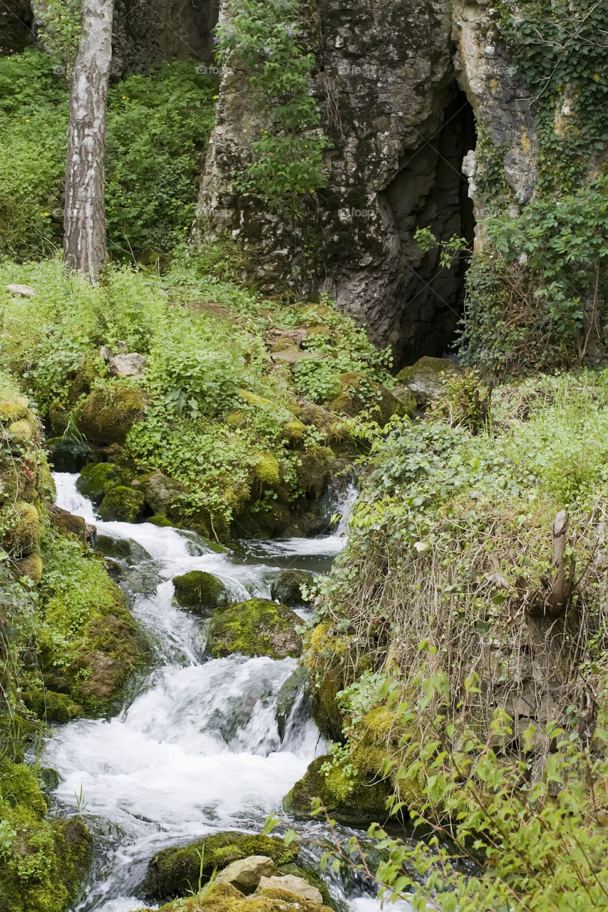 The river from the cave