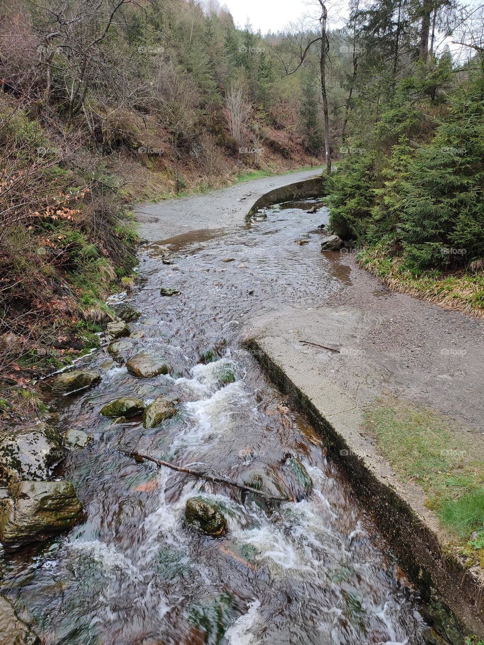 Walk in the woods, Bayehon waterfall
