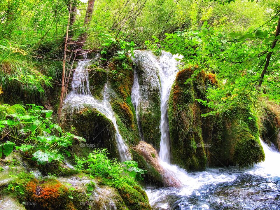 View of water fall from mossy rock in the forest