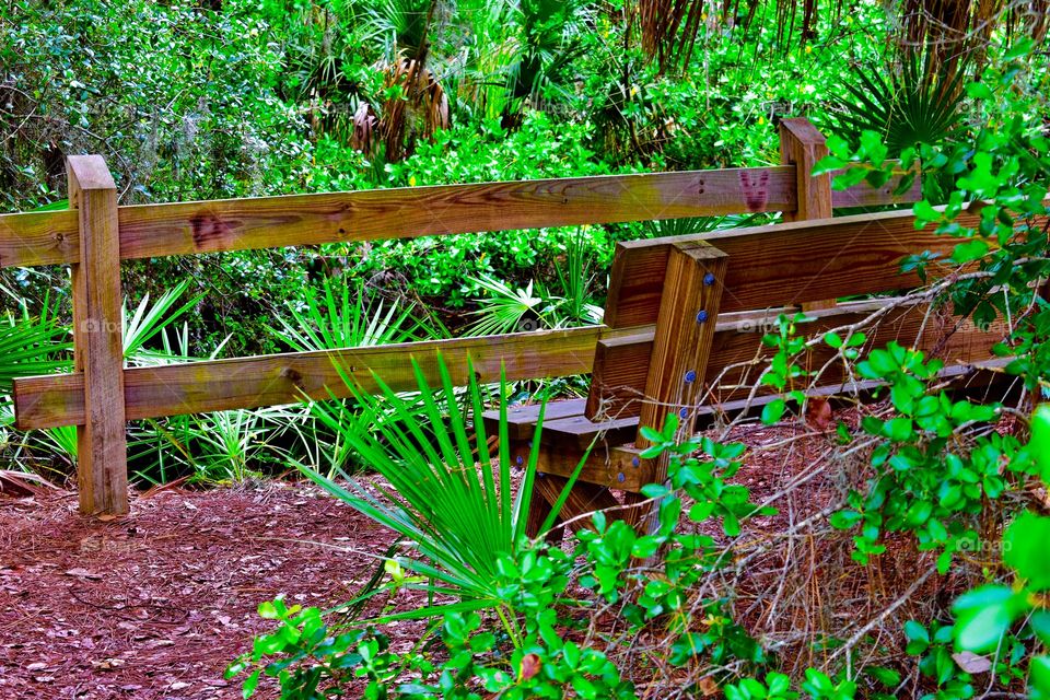 Park bend in the woods