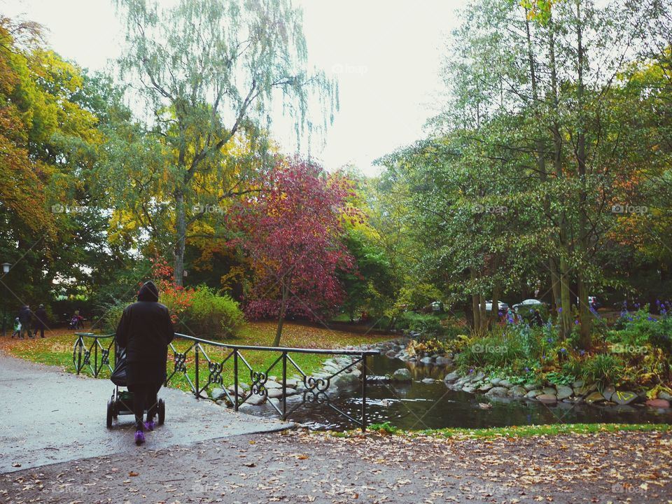 Walking in the park in the Autumn 