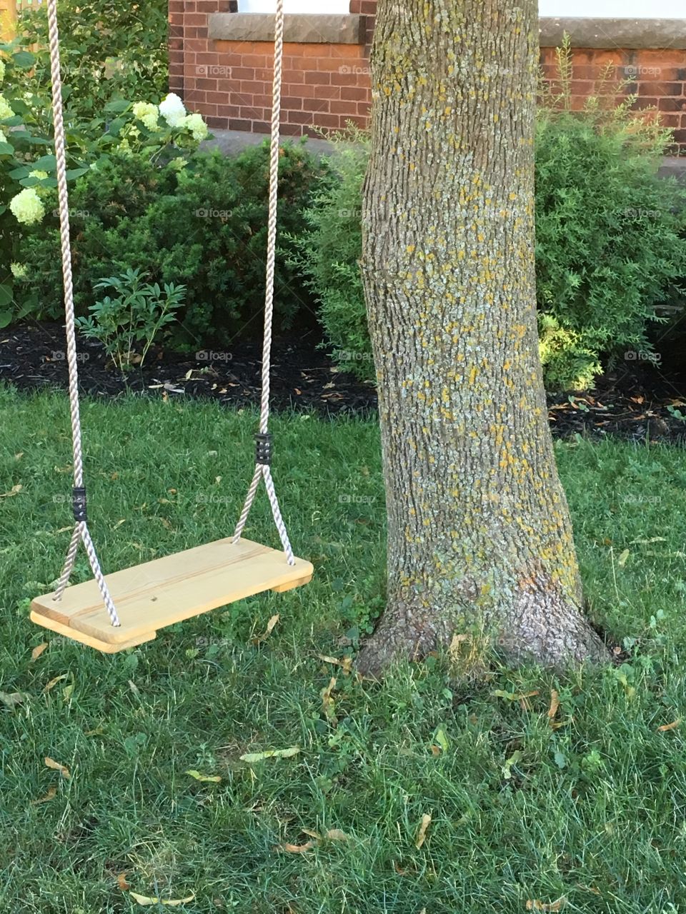 Time to take a swing