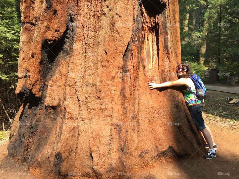 Treehugger. Taken in Sequoia National Park. 
