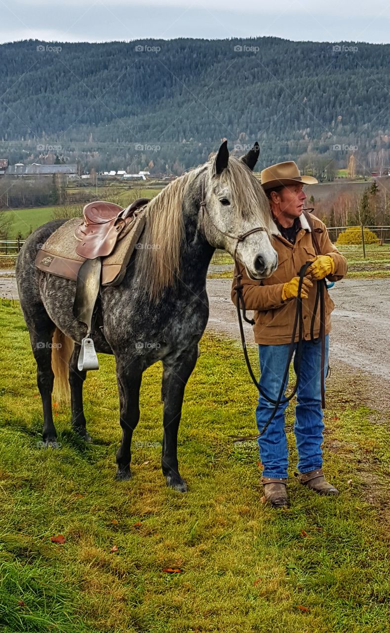 Countryside in Norway