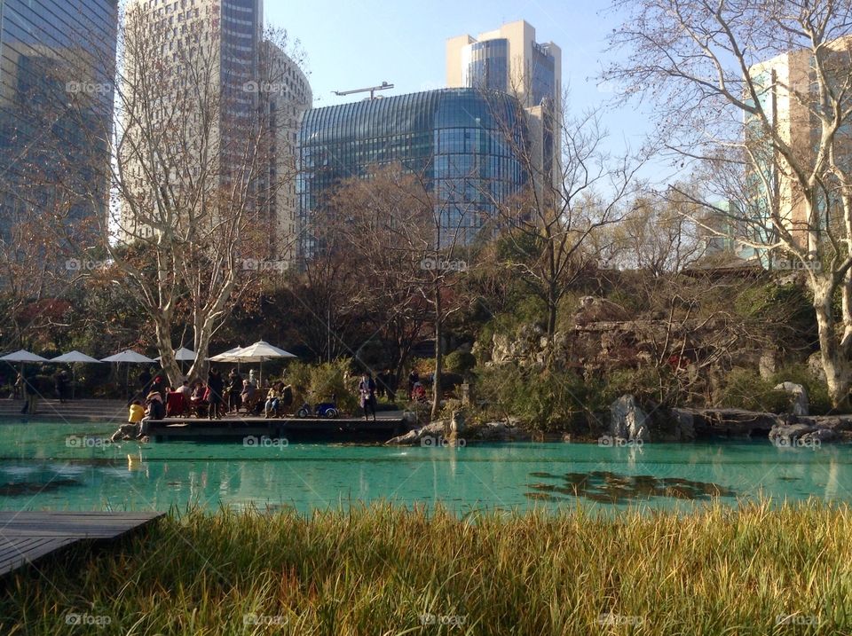 Chinese Park in the business center of Shanghai