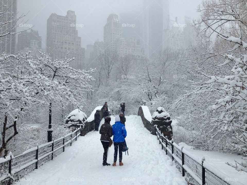 A Snowy Central Park