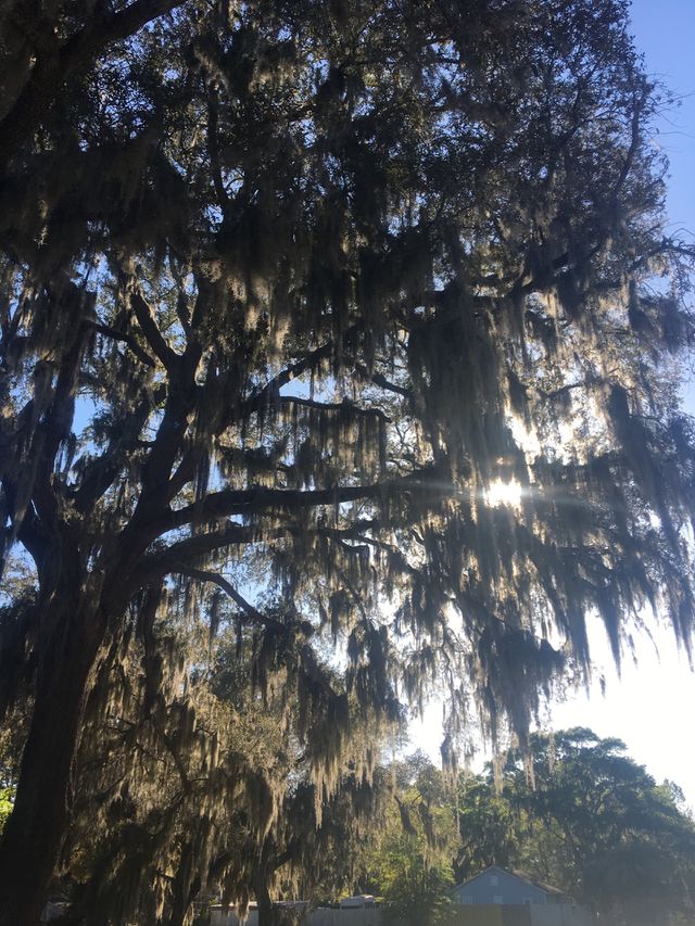 Nature
