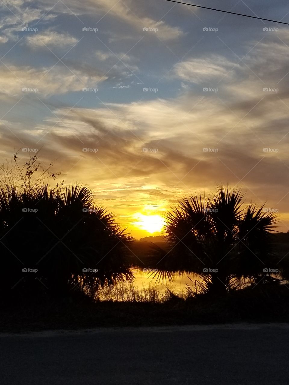 Beautiful golden sunset