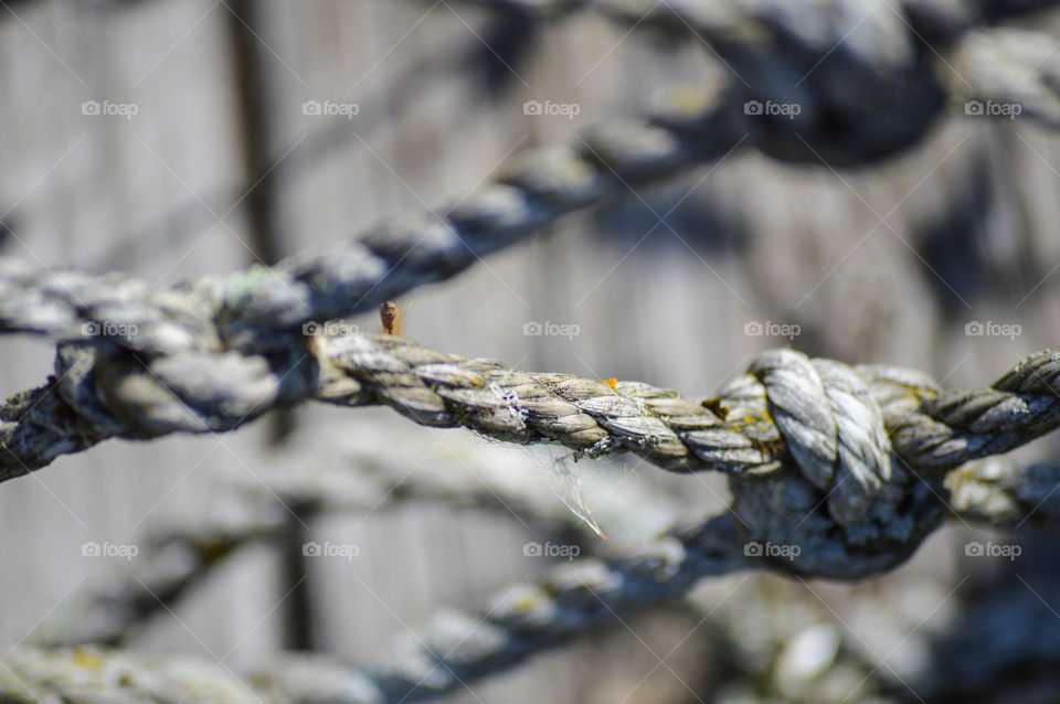 Close up of rope fencing