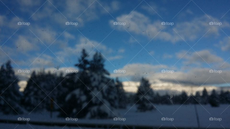 Snow, Landscape, Winter, Tree, Sky