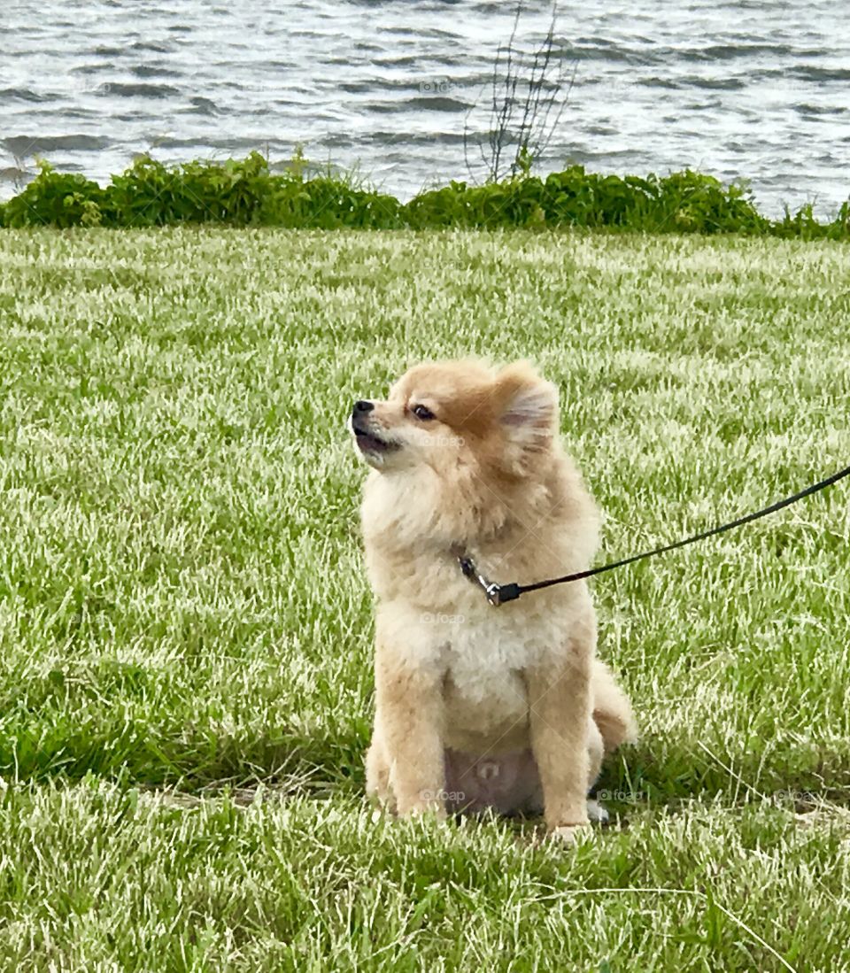 Enjoying the Warm summer breeze 