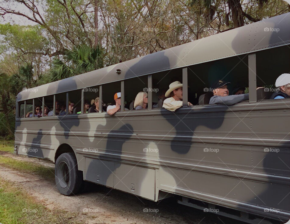 Bus trip through the beautiful wetlands of Florida.