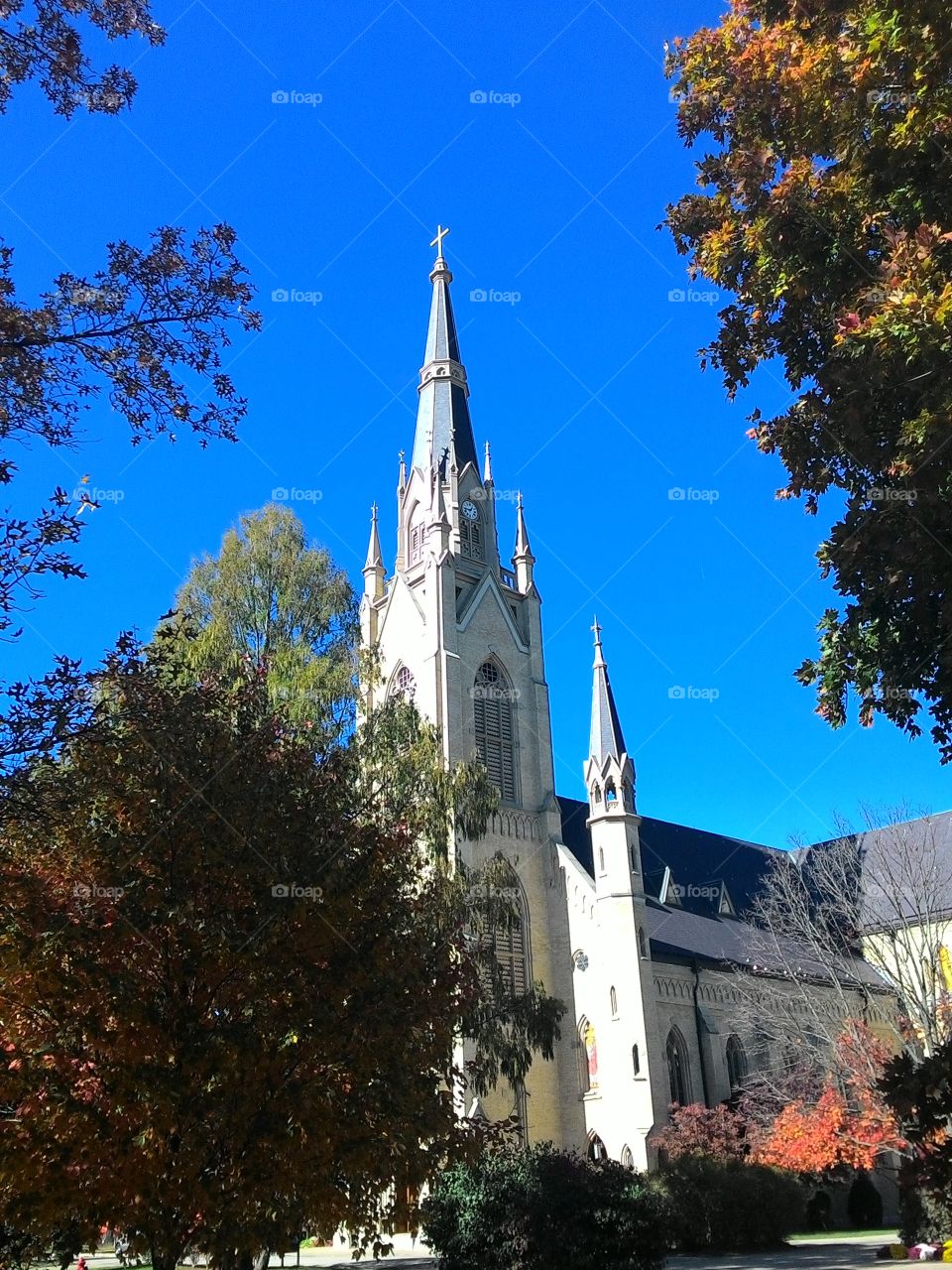 cathedral at NDU. the church at notre dame