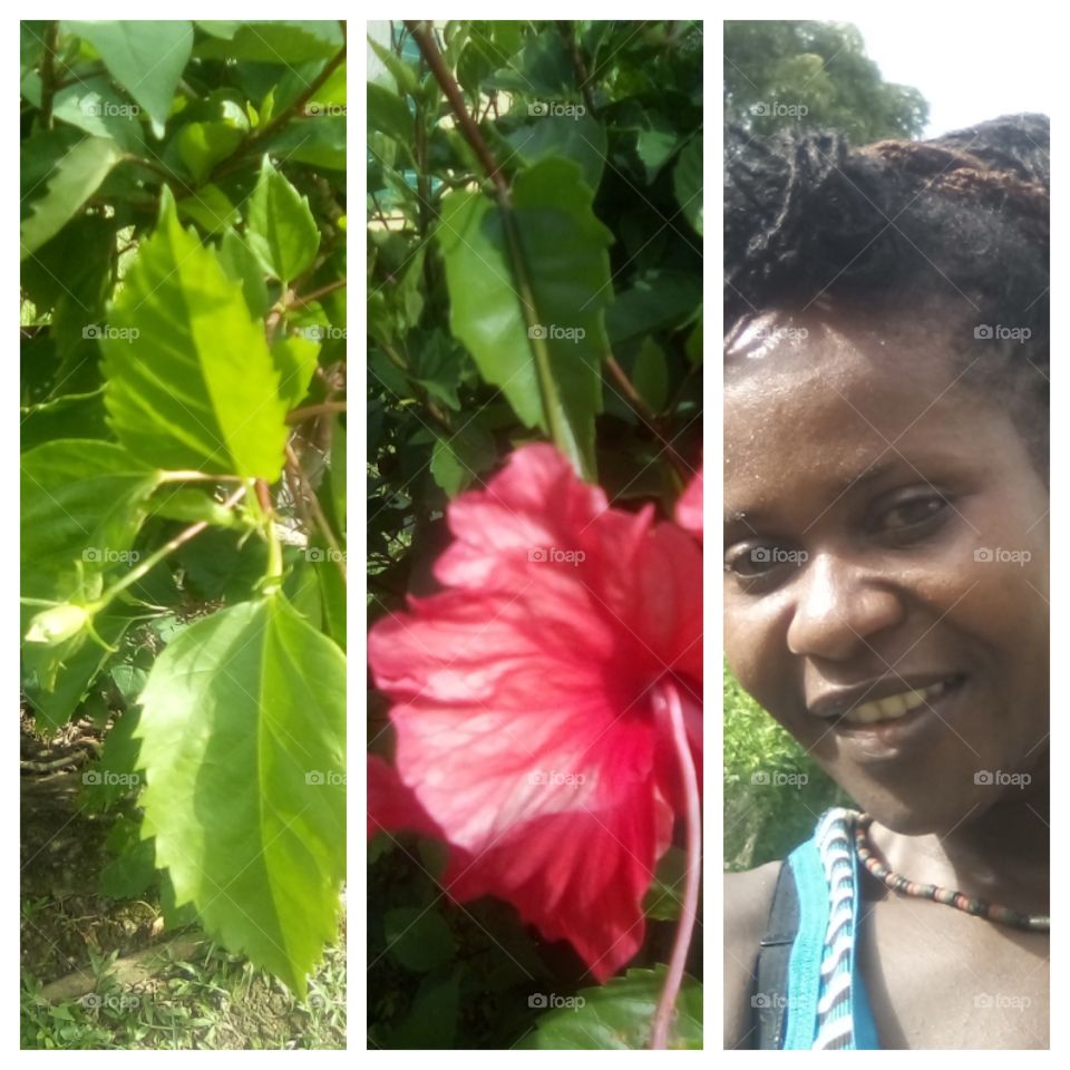 this present moment I am sharing with you of the most beautiful pictures you will ever see , this only one that was taken.